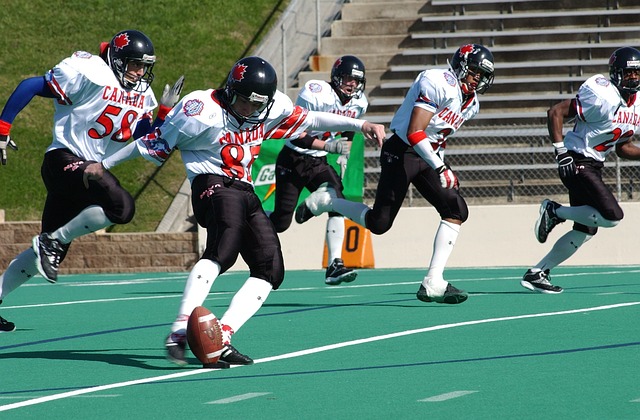 地方政府和 地方政府和