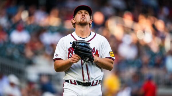 的安全保障 的安全保障