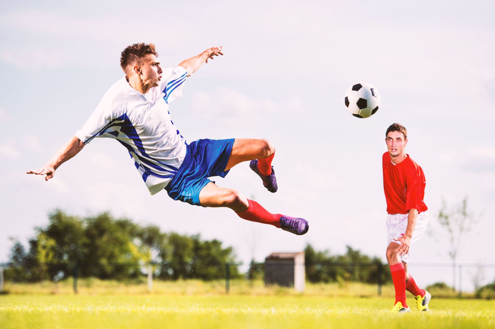 球迷们为之 球迷们为之